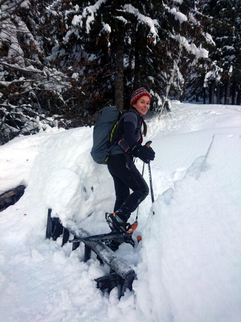 questo è il limite dell'Alpe, la neve è all'altezza del cancello