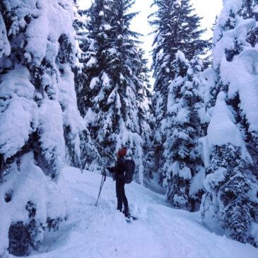 Monte Lago dall’Alpe Piazza – Scialpinistica o Ciaspolata – con neve super