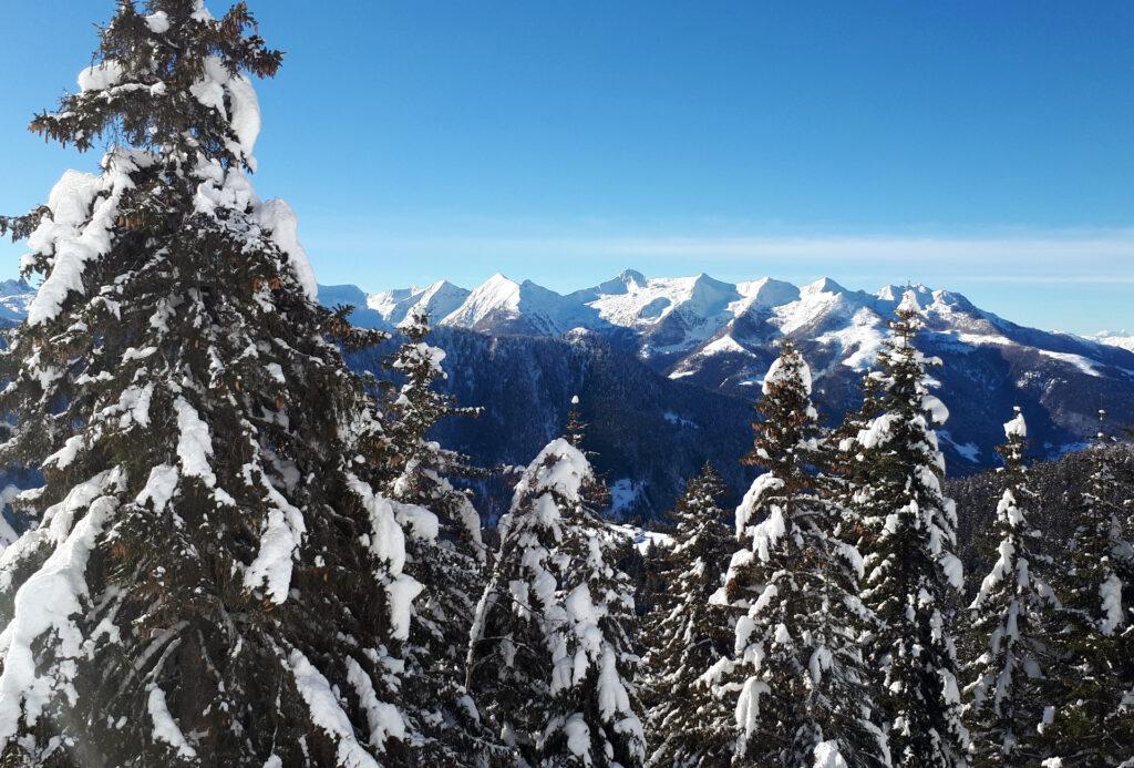 cime e cime: alberi e montagne, incappucciati. chi è più bello?!