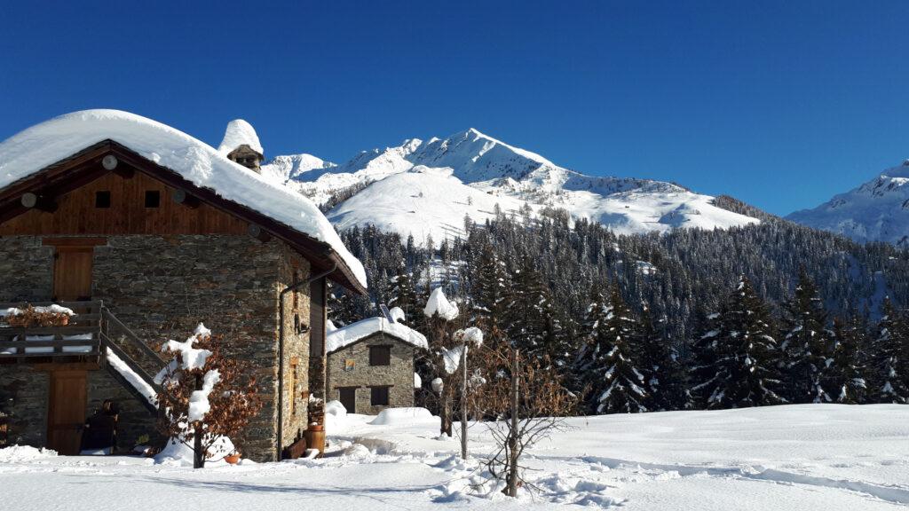 l'Alpe Grande sotto al sole: questa mattina non avevamo capito quanto fosse bella. Dietro la nostra cima, ben visibile