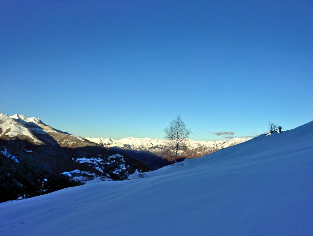 sempre più in alto, ma sempre all'ombra