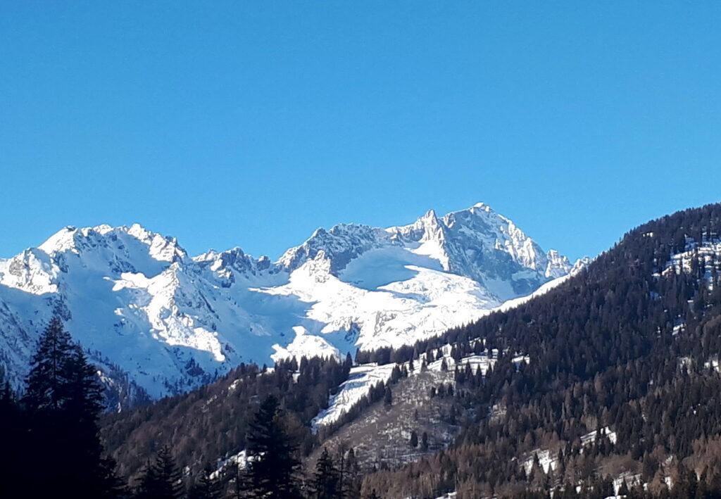 Bello scorcio della Presanella e del Monte Nero di fronte a noi