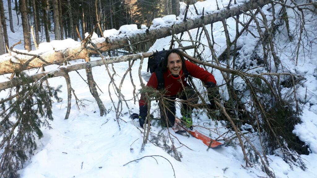 Lungo il sentiero nel bosco ci sono diversi alberi divelti dal vento che regalano qualche COMODO passaggio