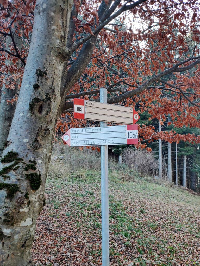 Il sentiero che porta a Santa Brigida dal Colle della Maddalena