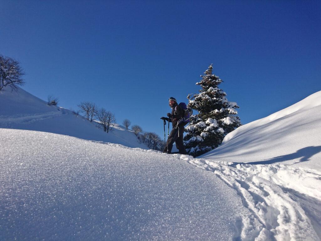 siamo quasi in cresta