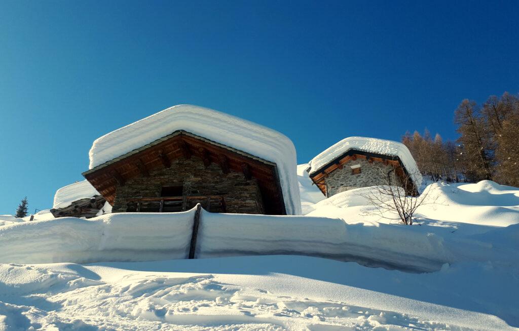 questa dovrebbe essere Frontaglio, l&#039;alpe che si incontra dopo il primo bosco