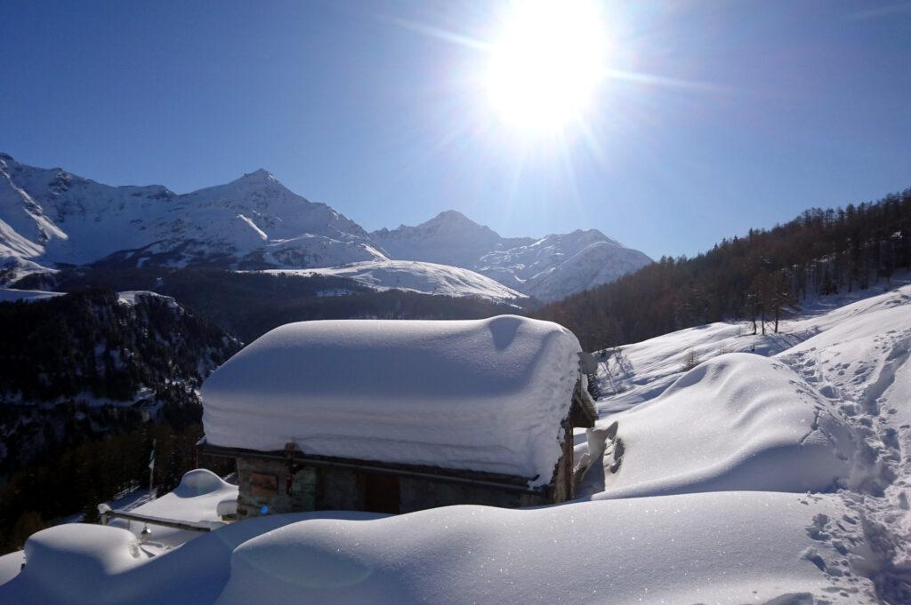 oggi fa un bel freddo, ma superato il bosco il sole garantirà temperature più che accettabili