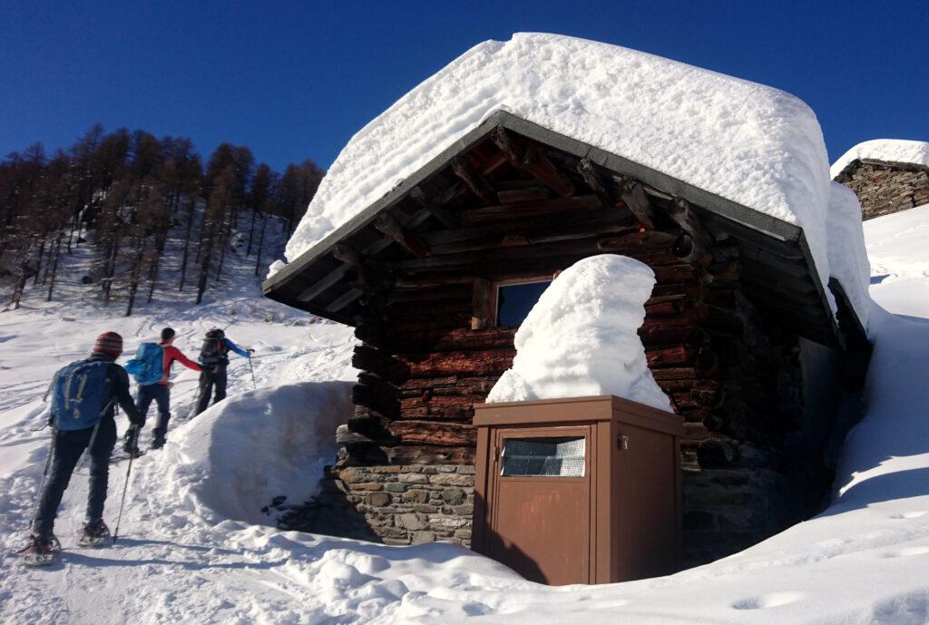 la neve, copiosa quest'anno, crea buffe sculture