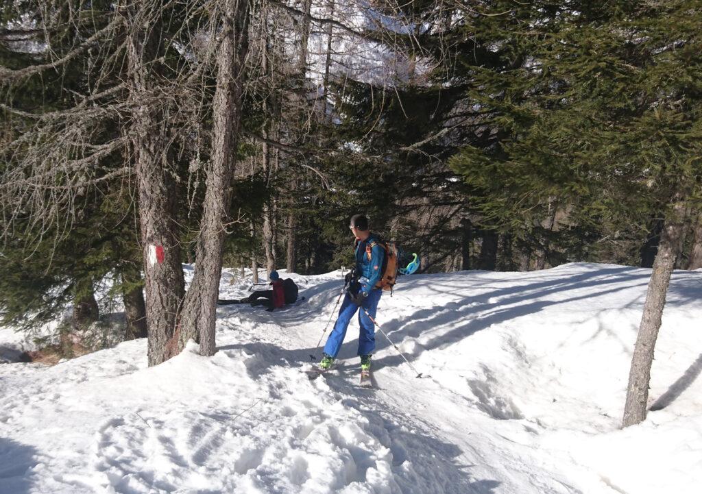 La salita nel bosco verso il rifugio Palù sarà ricca di tratti ghiacciati che creeranno non pochi problemi al nostro Zano