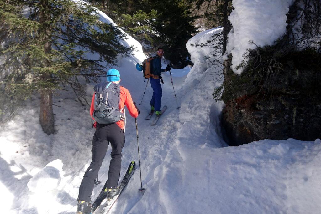 bel passaggino nel bosco sopra al rifugio Palù