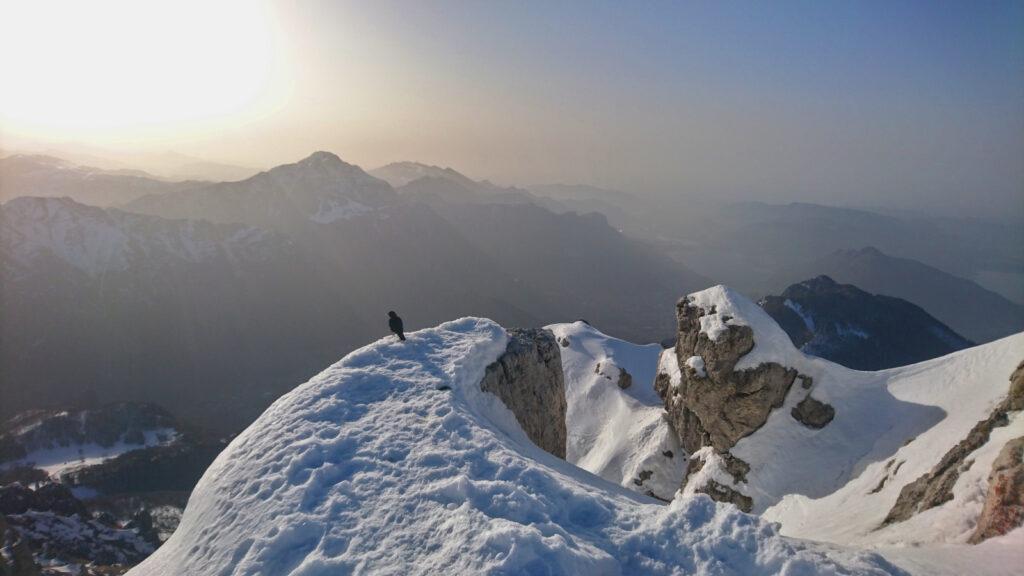 Gracchio alpino si gode il primo sole sulla cima della grignetta