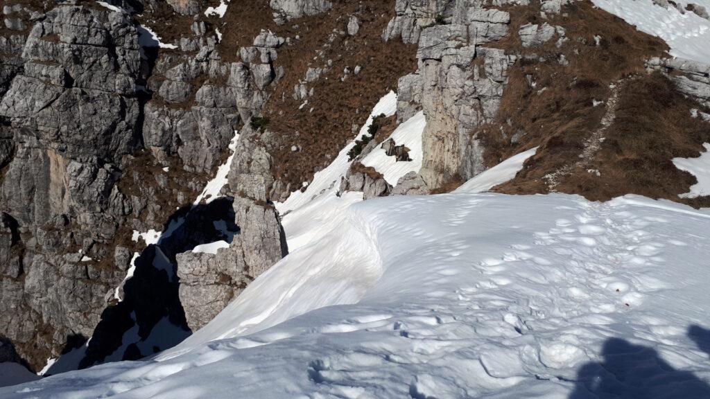 Usciti dal canale scegliamo la strada verso sinistra sul sentiero delle creste per tornare verso i Piani d'Erna