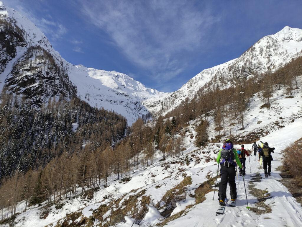 il primo tratto è su strada forestale, comodo ma nel nostro caso non del tutto coperto da neve