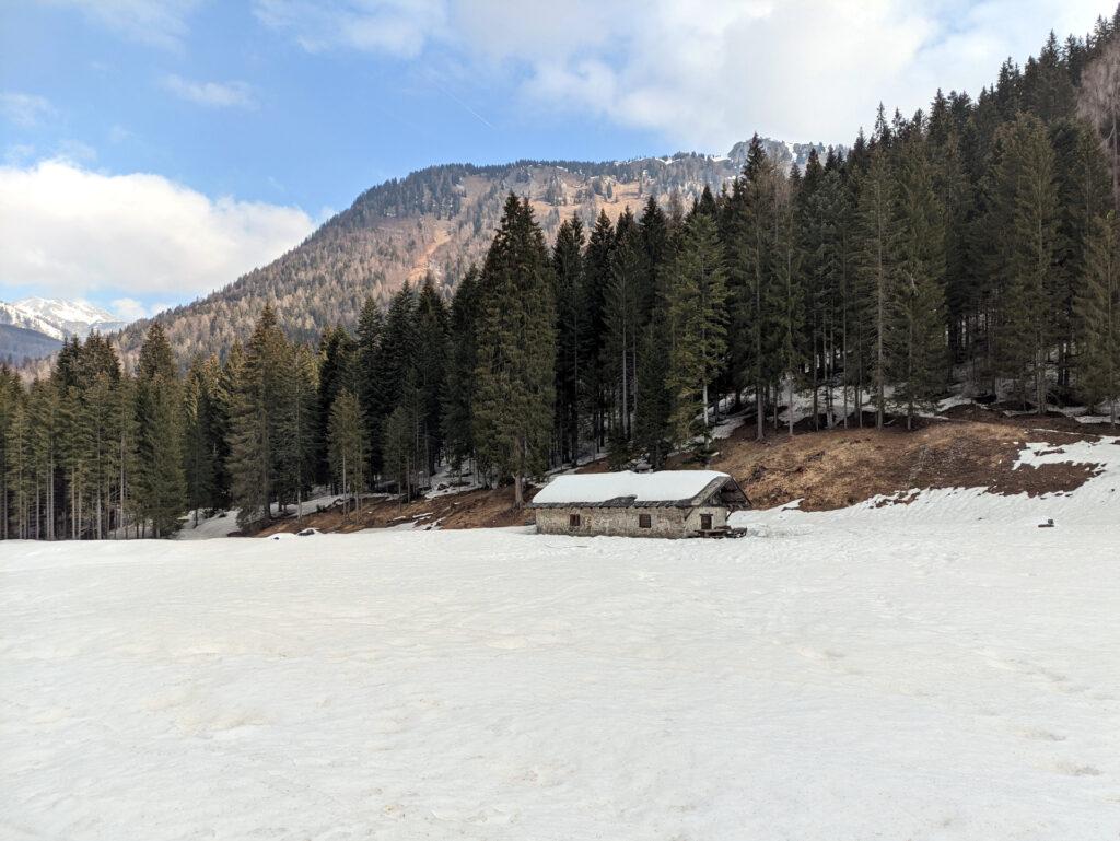 malga di Brenta Bassa