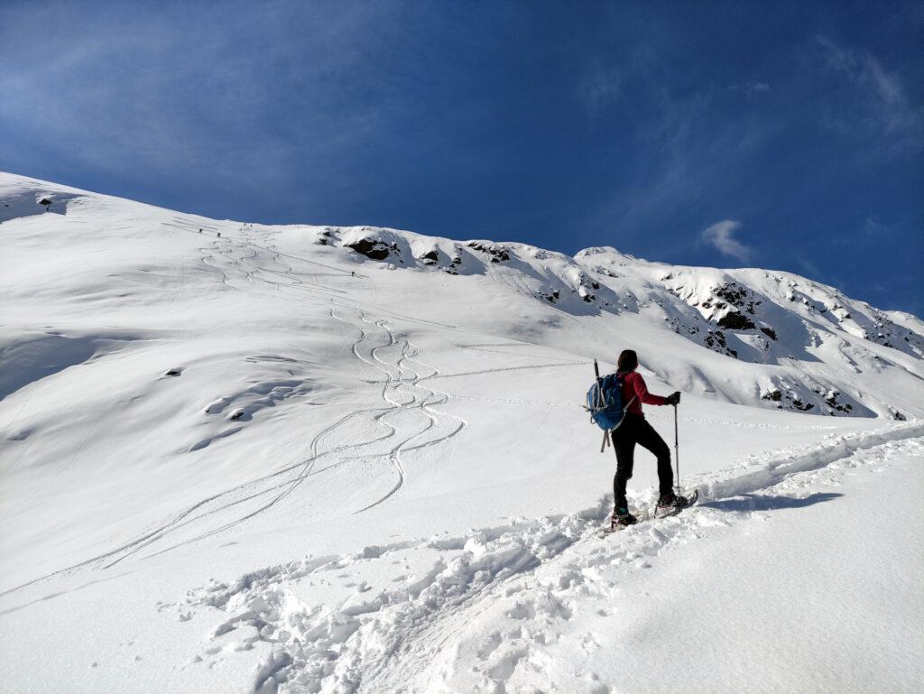 le prime sbisciule di discesa, ma noi ancora dobbiamo arrivare in cima