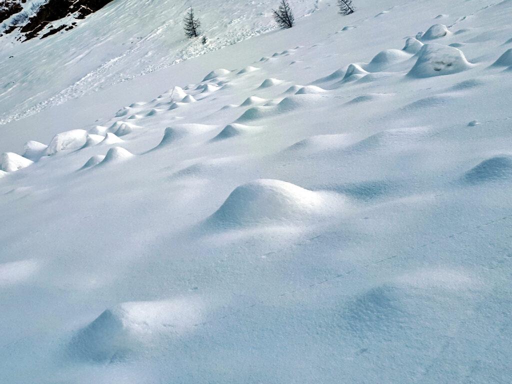 il paesaggio, con la neve, si trasforma: nel macro e nel micro