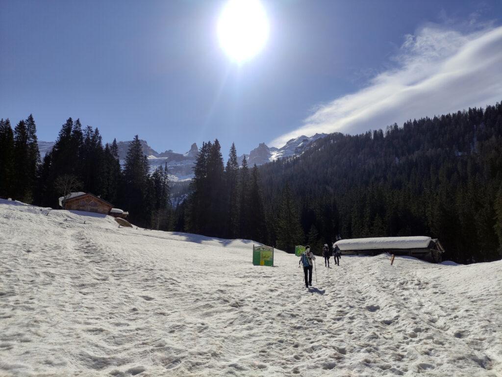 Eccoci finalmente al parcheggio di Vallesinella da cui inizia la gita vera e propria