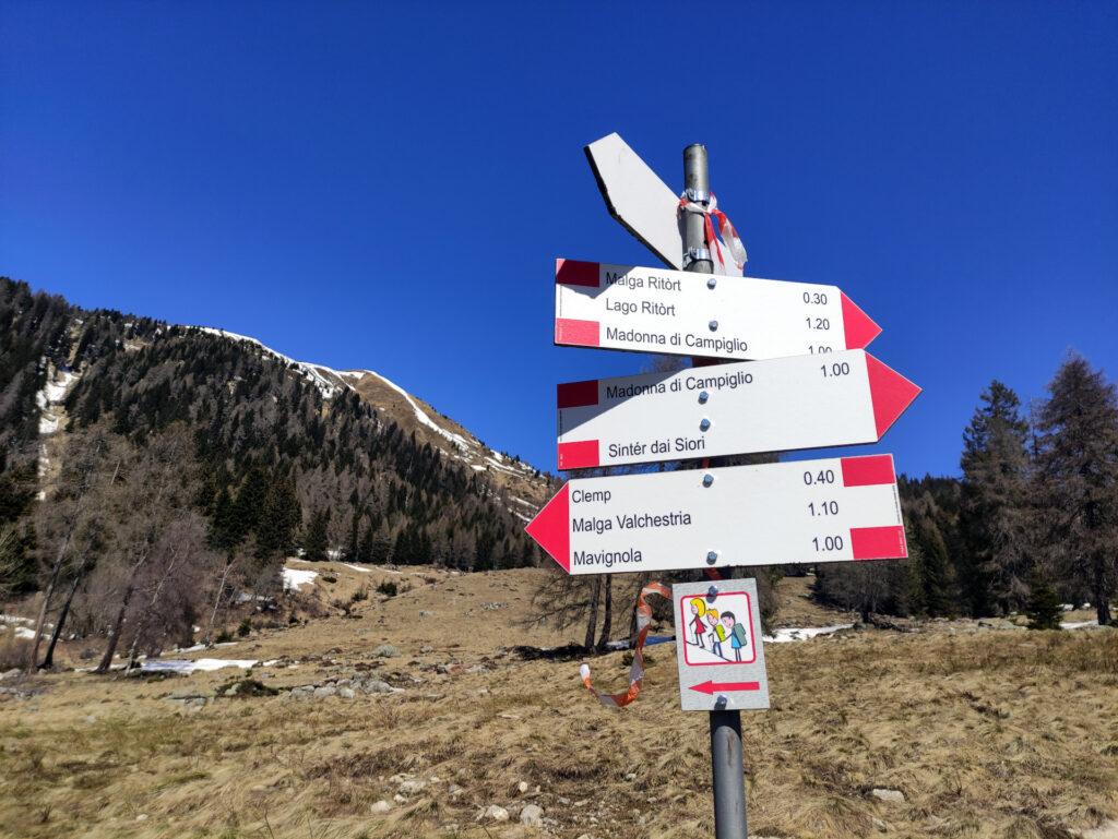 arrivati all&#039;alpeggio si aprono una serie di possibilità: ma noi vogliamo ravanare, quindi saliamo dritti!
