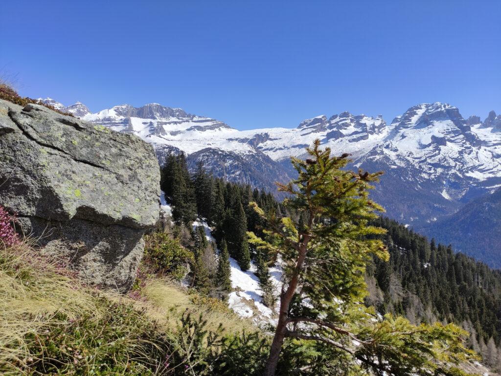 più si sale più la vista si apre sul Brenta