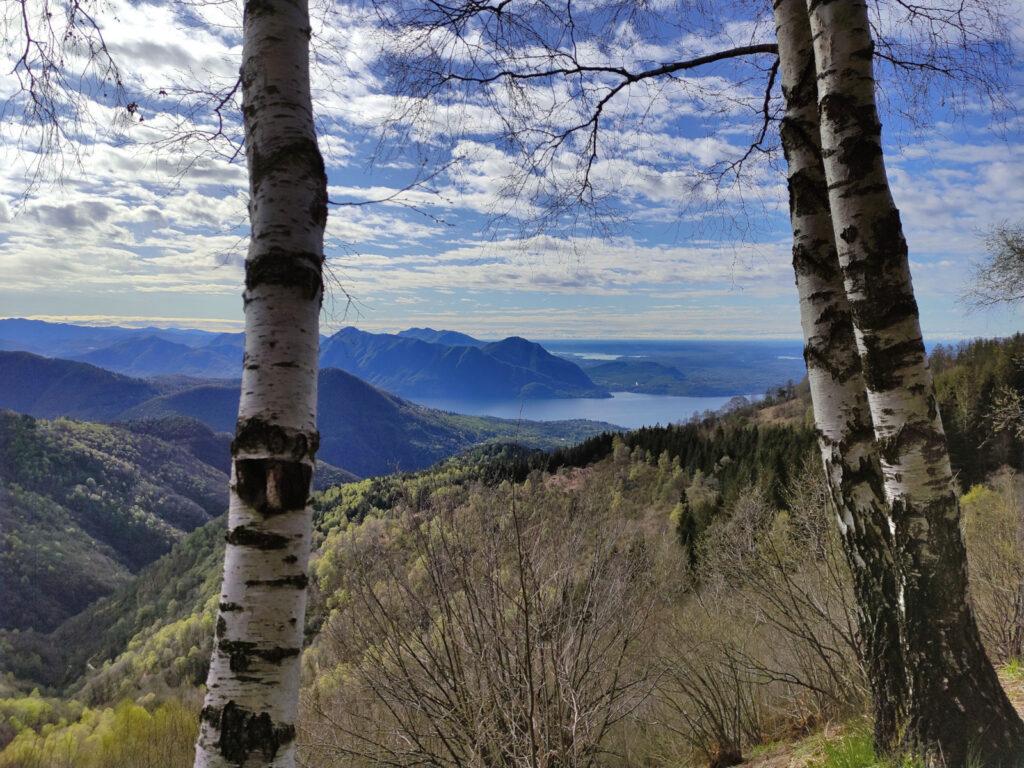 Già dopo pochi minuti di cammino inizia ad aprirsi il paesaggio verso il lago Maggiore