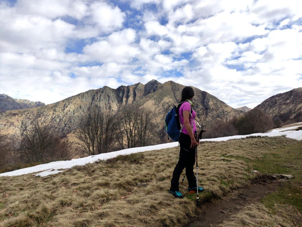 Erica all'alpe Curgei dà un primo sguardo verso la nostra cima di oggi