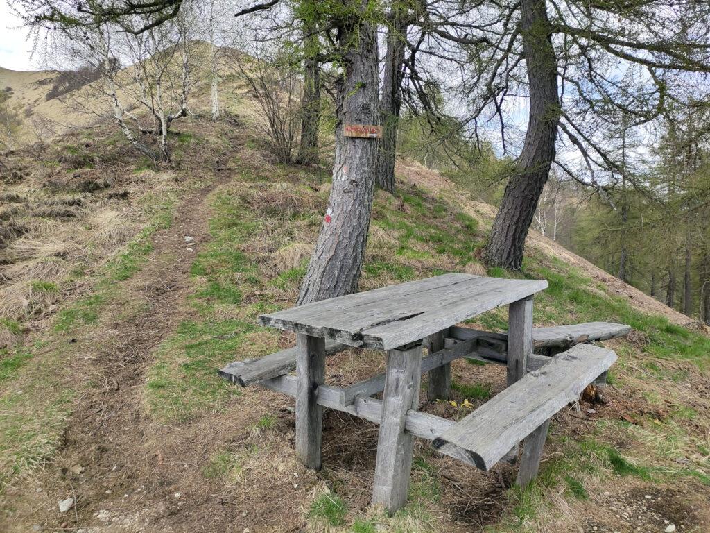 In corrispondenza di questa panca si stacca il sentiero che riporta verso Cappella Fina (indicazione alpe Cavallotti)