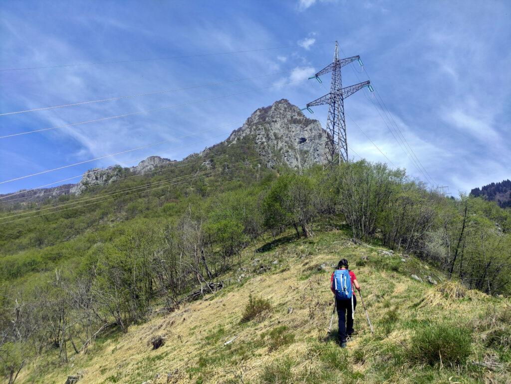 Eccoci finalmente alla prima selletta da cui si vede finalmente il Monte Ortighera