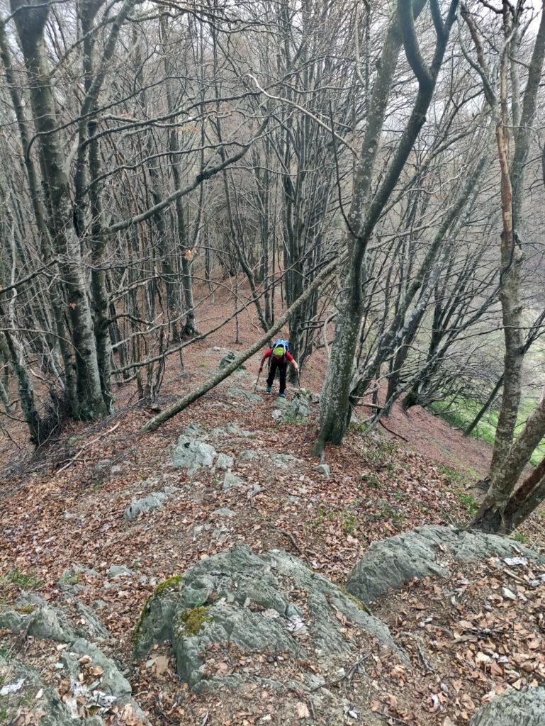 Qualche tratto di cresta più ripido e parzialmente roccioso