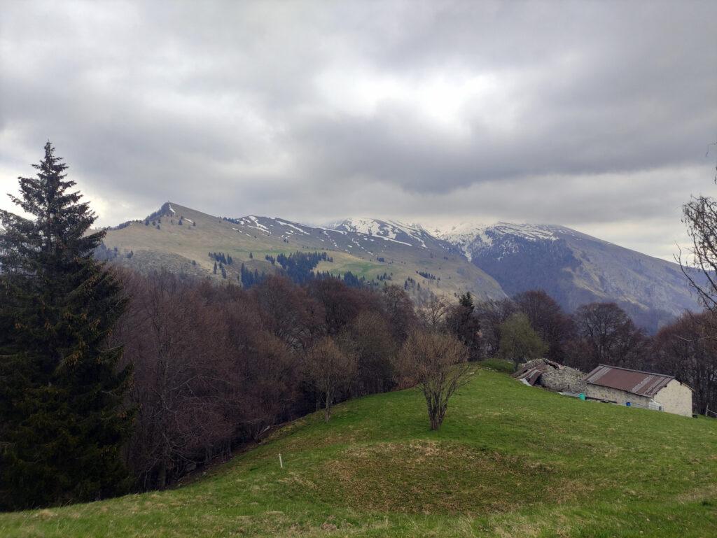 Scendiamo nuovamente fino alla baita Moss ma anche al ritorno le nubi ci impediscono la vista della cima del Menna