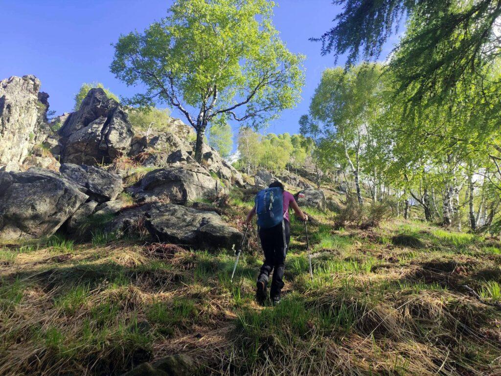 Dopo mezz'ora di ripido bosco si sbuca in questa zona rocciosa