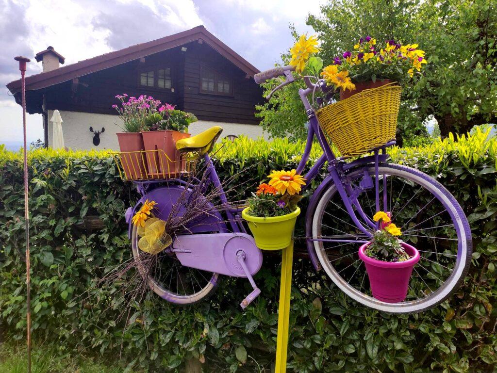 Le tipiche biciclette colorate e fiorite di cui è cosparsa tutta la salita da Coggiola a Le Piane