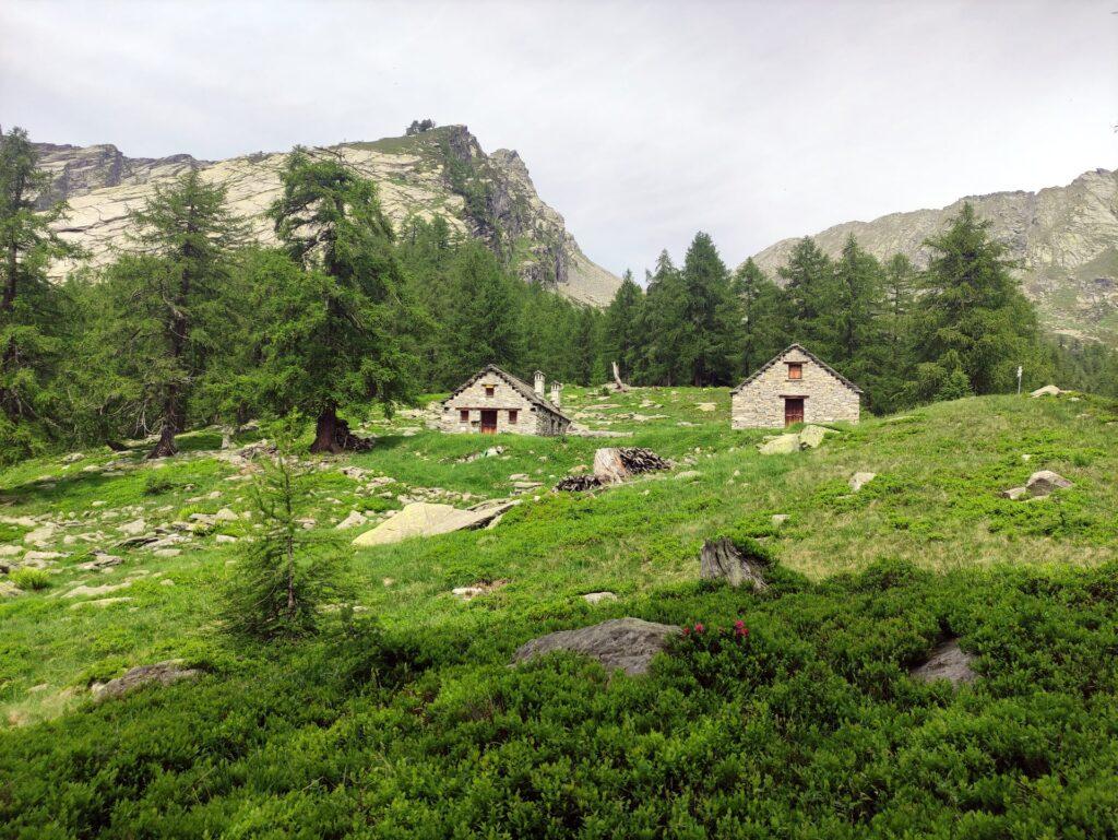 l'Alpe Corte o Cortevecchia segna la fine dell'avvicinamento: poco oltre si inizierà a salire sulla prima piodata che si scorge alle spalle