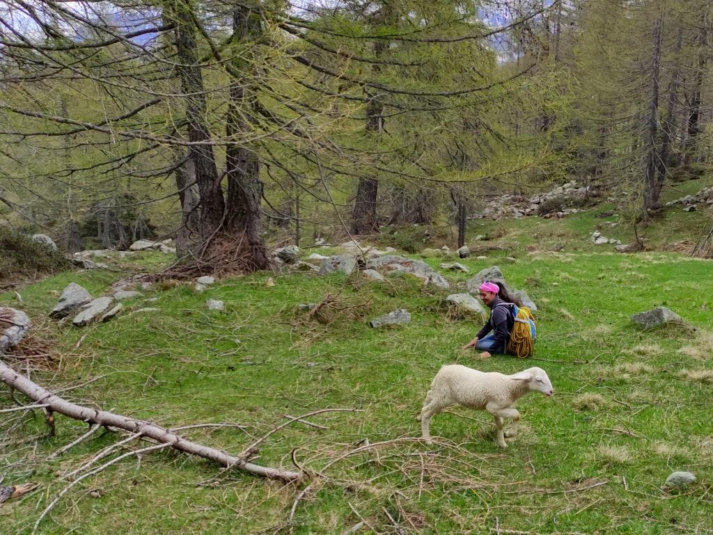 finchè non si accorge del &quot;mostro&quot; a due gambe che ha di fianco :D