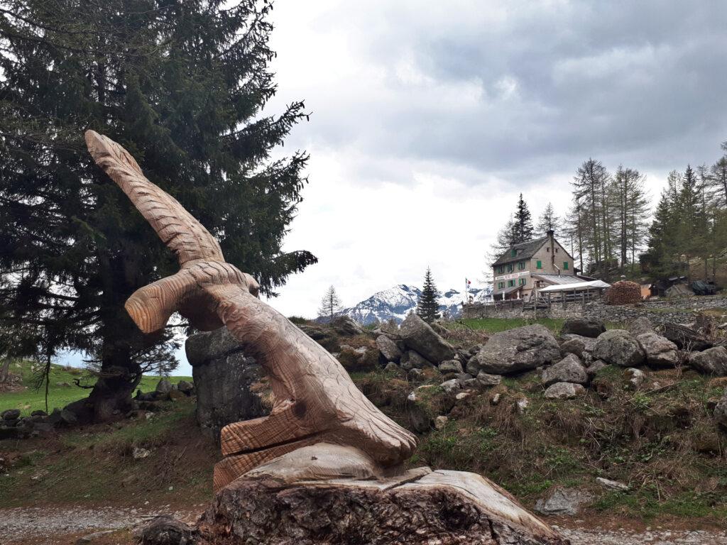 il cielo si annuvola e dopo qualche tiro decidiamo di tornare a valle: salutiamo il Rifugio Crosta e prendiamo il sentiero "comodo"