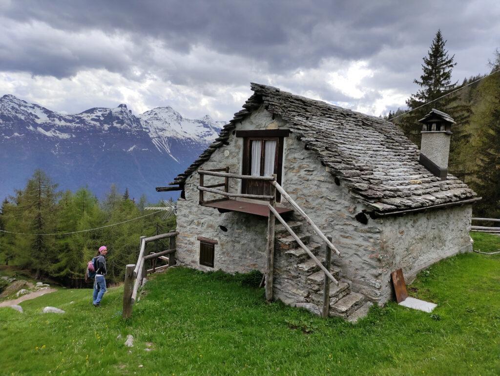 lungo il sentiero bellissime baite: quest'alpe è molto vissuta