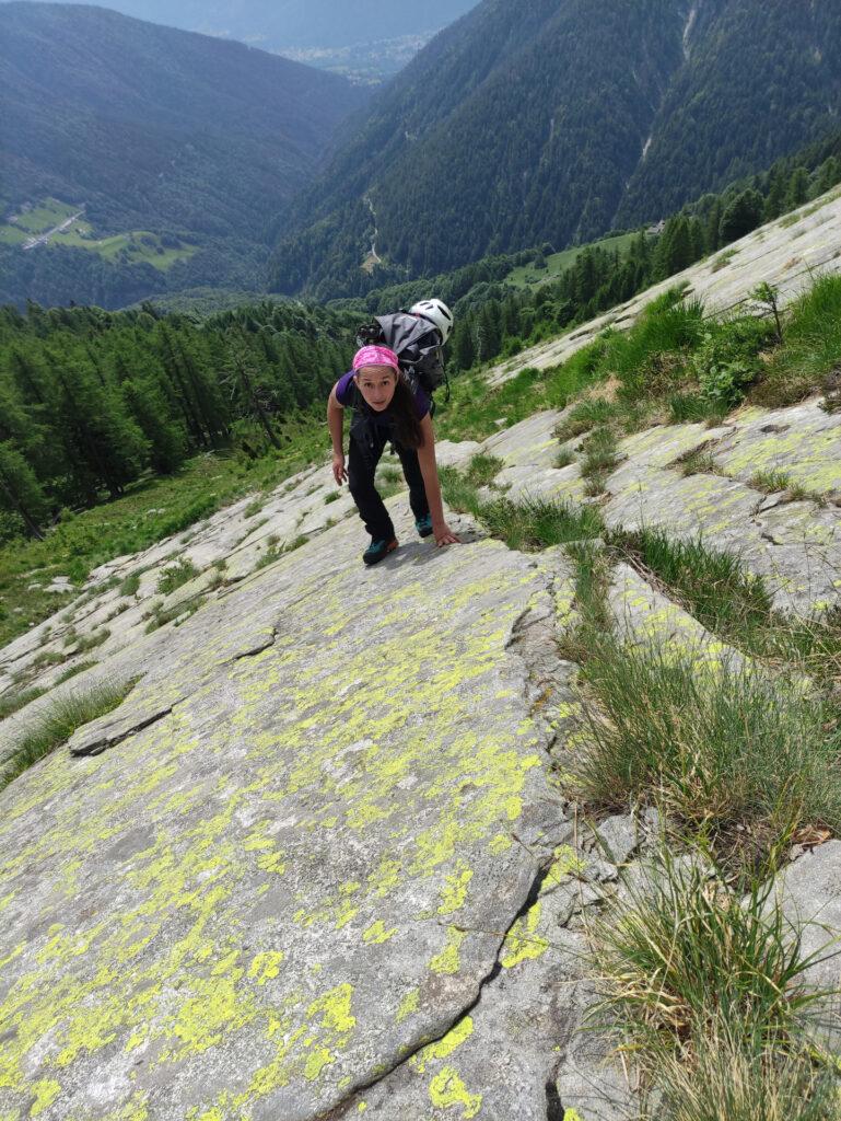 si sale sfruttando la roccia, molto più affidabile dell'erba