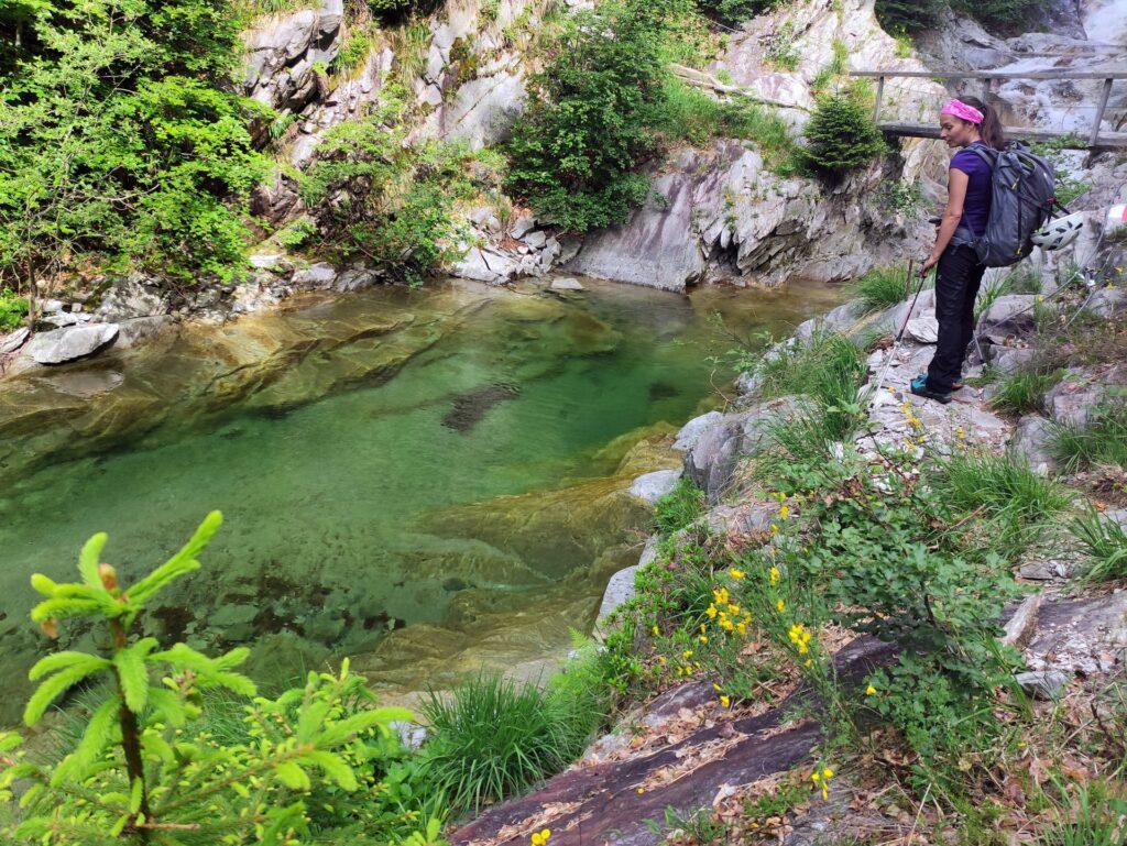 pozze di acqua cristallina in abbondanza