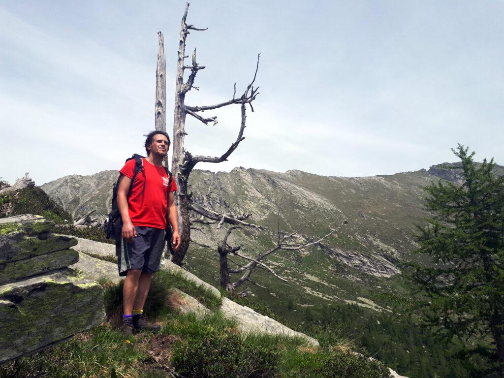 il morto in piedi che segna il termine della prima piodata (l'albero, si intende)