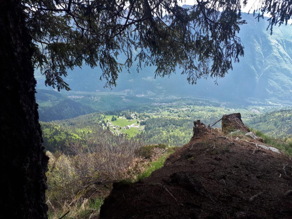 quasi usciti dal bosco, ci avviciniamo al Passo della Sciupa: sotto di noi le baite di Foppiano