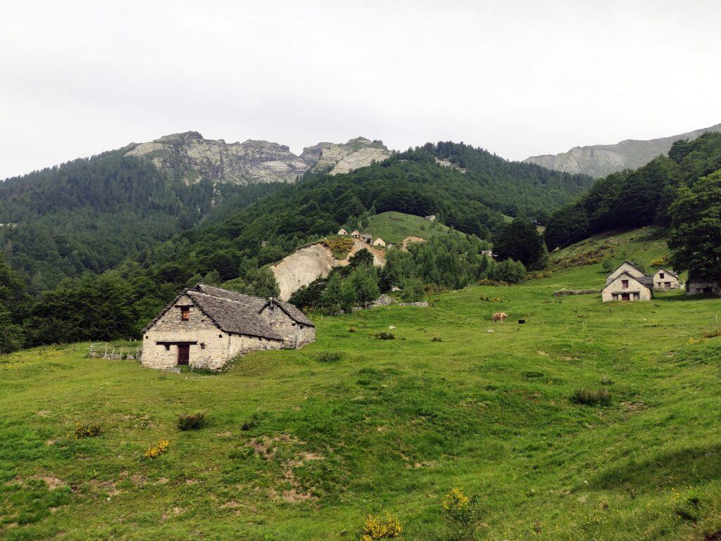 proseguiamo verso l'Alpe Vei