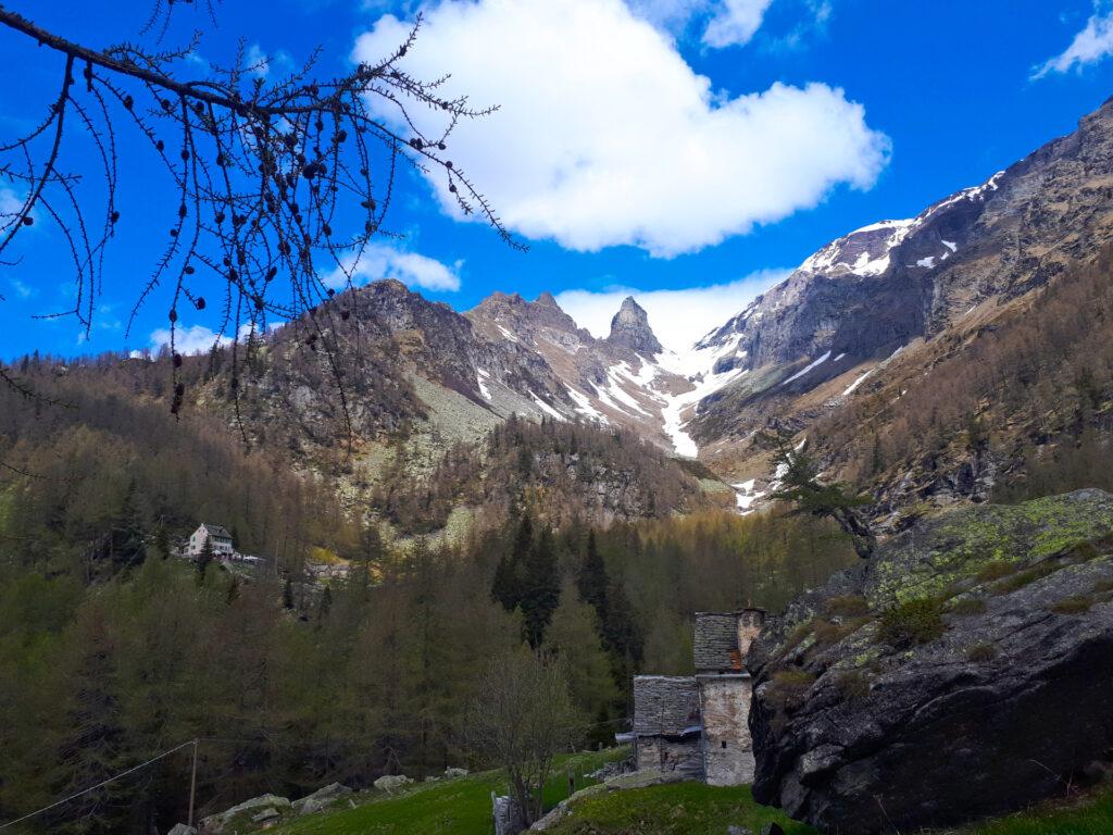 eccoci negli alpeggi dell'Alpe Solcio: a sinistra campeggia il Rifugio Crosta, davanti a noi la Scheggia di Marsasca e ancora oltre il Pizzo Boni