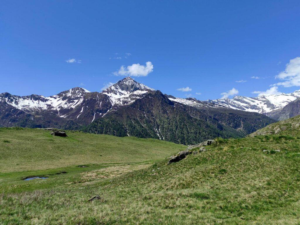 Dai prati dell'Alpe Cama il pizzo del Ton troneggia tra le altre cime