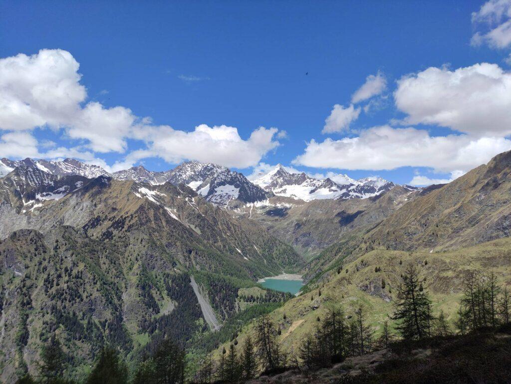 Vista verso l'Alpe Cheggio con il Weissmies a farne da padrone