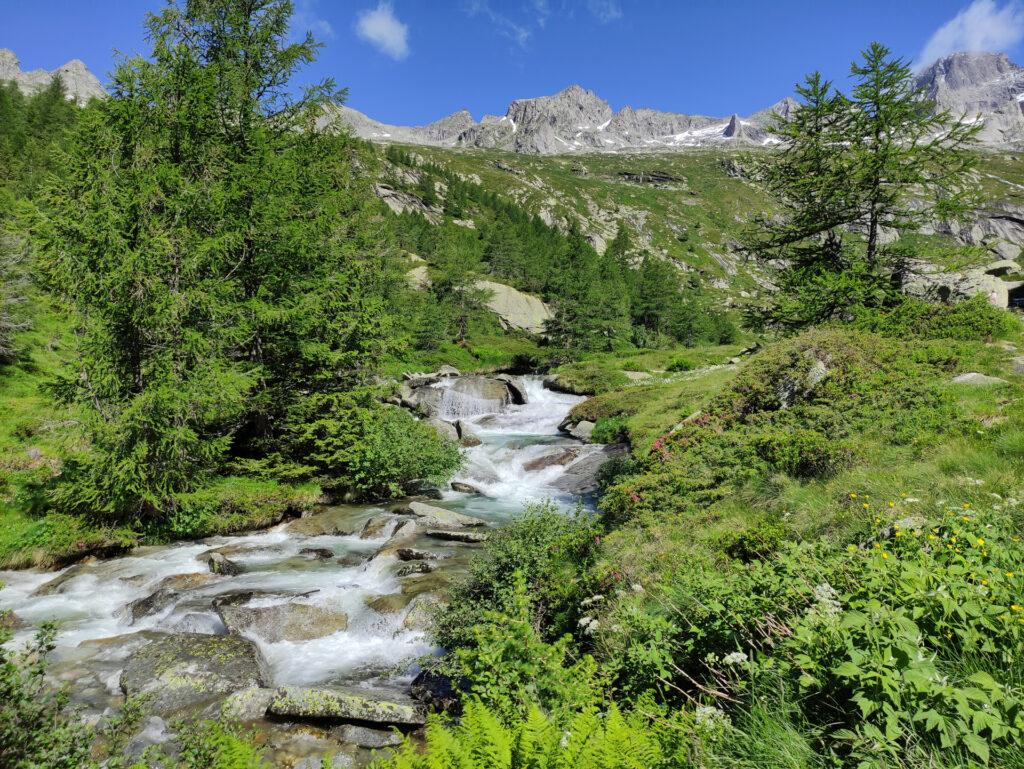 siamo arrivati alla piana dello Zucun, che divide la parte alta e la parte bassa della Val Porcellizzo