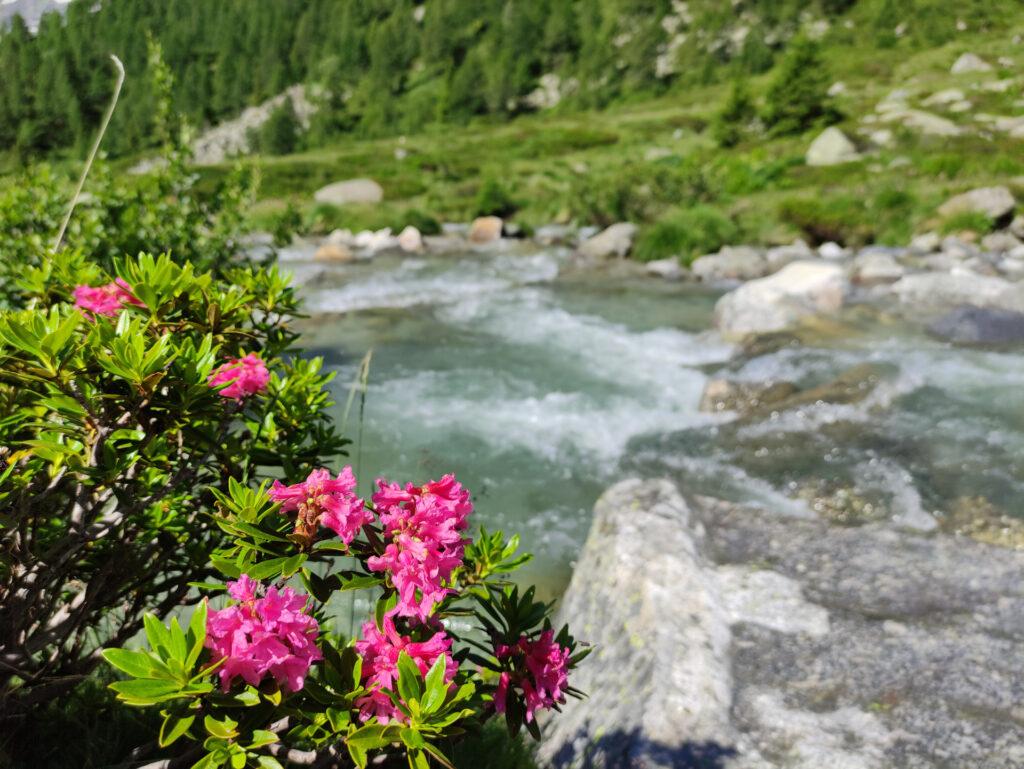 lo spettacolo della natura: in questo punto ci fermiamo sempre!