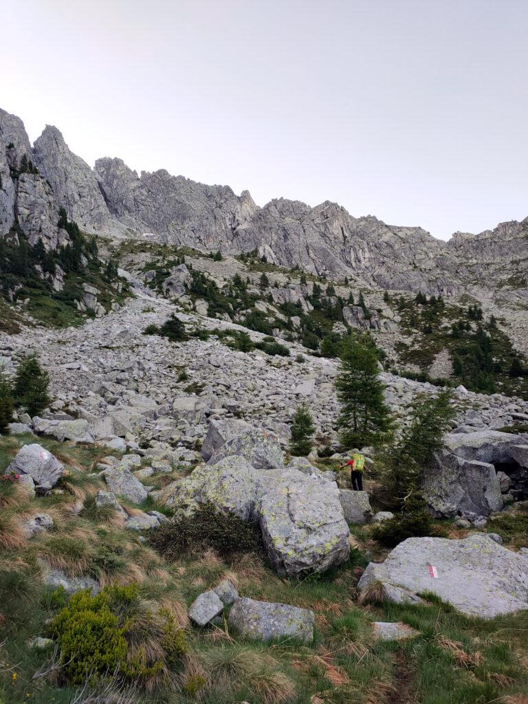 fuori dal bosco si è già in vista della parete dove correrà la via