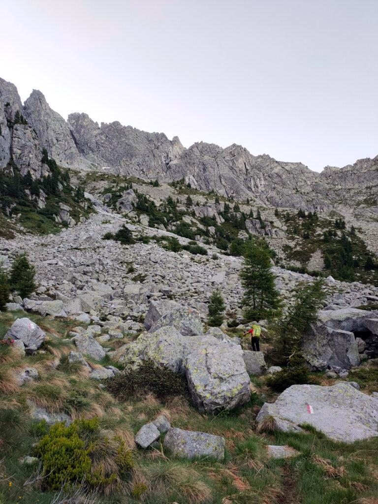 fuori dal bosco si è già in vista della parete dove correrà la via