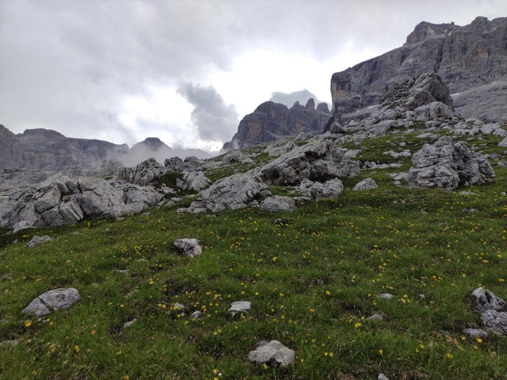 Risaliamo lungo i prati sulla cima dello spallone Irene alla ricerca del sentiero Sosat che passa un centinaio di metri a monte