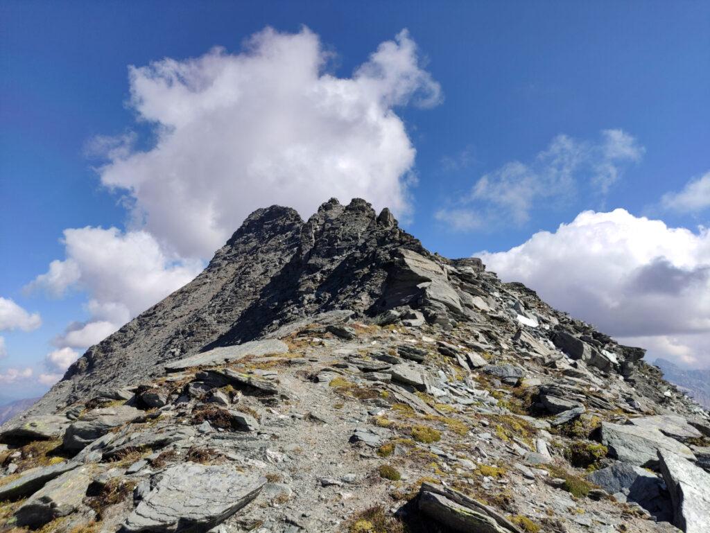 dopo aver raggiunto il passo, iniziamo la lunga galoppata in cresta verso la nostra cima