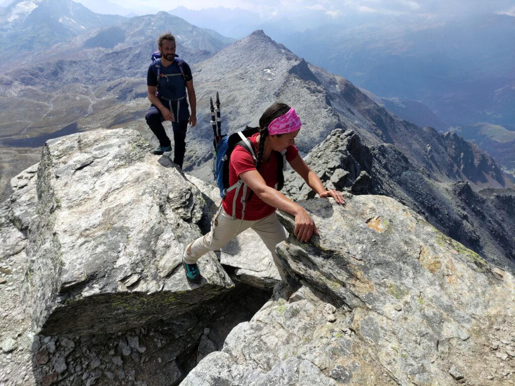 Erica sul passo chiave